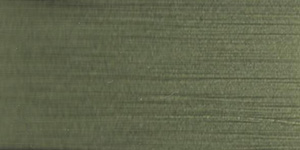 W051